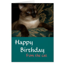 Carte d'anniversaire de chat siamois
