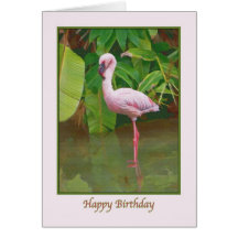 Carte d'anniversaire de flamant