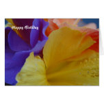Carte d'anniversaire de fleur de Hibicus
