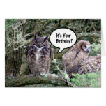 Carte d'anniversaire de hibou