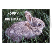 Carte d'anniversaire de lapin