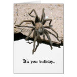 Carte d'anniversaire de tarentule