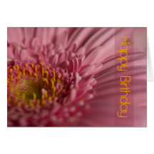 Carte d'anniversaire rose de Gerbera