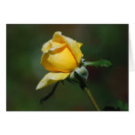 Carte de bourgeon de rose jaune
