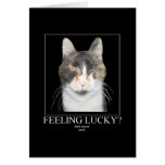 Carte de chat de bonne chance