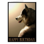 Carte de chien de traîneau sibérien/carte Malamute
