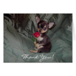 Carte de chiot de Merci