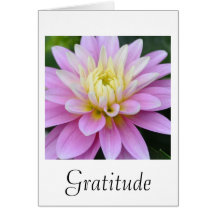 Carte de dahlia de gratitude