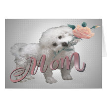 Carte de fête des mères de Bichon