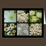 Carte de fleur blanche cartes