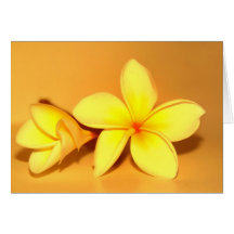 Carte de Frangipani