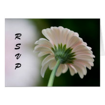 Carte de Gerberas de RSVP