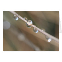 Carte de gouttelettes d'eau