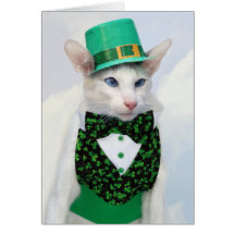 Carte de jour de Skeezix McCat St Patrick