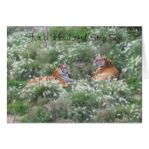 Carte de joyeux anniversaire pour des tigres d'un 