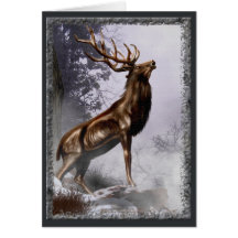 Carte de mâle d'hiver