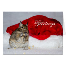 Carte de Noël de Bonnes Fêtes de chapeau de Degu e