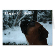 Carte de Noël de jolie de chien de boxeur