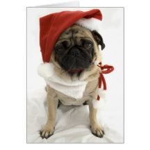 Carte de Noël drôle - Puggy