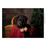 Carte de Noël mignonne de chiot