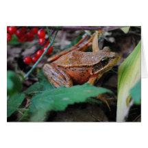 Carte de note de grenouille