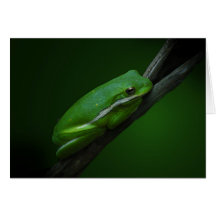 Carte de note de grenouille d'arbre