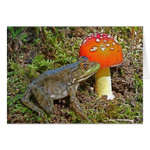 Carte de note de grenouille de léopard de bébé