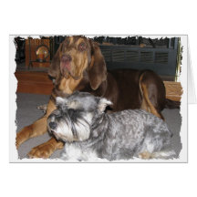 Carte de note de limier et de Schnauzer miniature