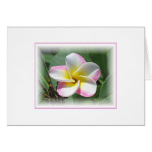 Carte de note de Plumeria au soleil