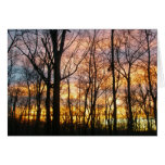 Carte de note de série du coucher du soleil #4
