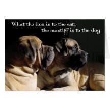 Carte de paires de mastiff