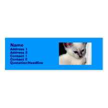 Carte de profil de chaton de Sasha Cartes De Visite Professionnelles