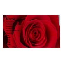 Carte de profil de rose rouge cartes de visite personnelles