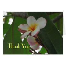 Carte de remerciements de Frangipani