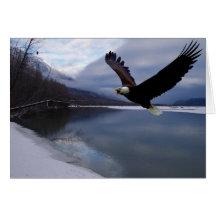 Carte de réservation de Chilkat Eagle