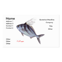Carte de RoosterFish Carte De Visite