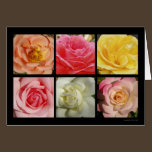 Carte de roses cartes