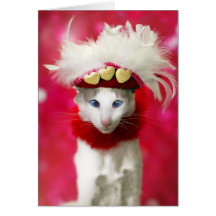 Carte de Saint-Valentin de chat
