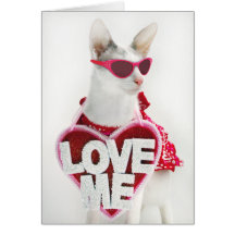 Carte de Saint-Valentin par Skeezix le chat