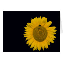 Carte de salutation tournesol