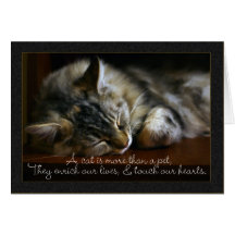 Carte de sympathie de chat d'animal familier, pert