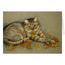 Carte de sympathie de chat de 4872 automnes