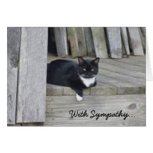 Carte de sympathie -- Perte de chat