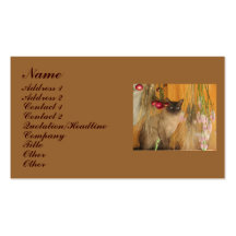 Carte de visite animal #3 de photographie de chat 