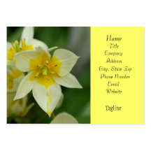 Carte de visite blanc et jaune de fleur