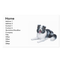 Carte de visite bleu de Merle border collie