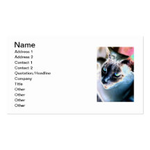 Carte de visite changé distant I de chat siamois