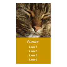Carte de visite de chat de Kitty
