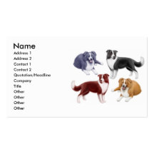 Carte de visite de chiens de border collie