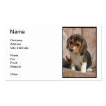 Carte de visite de chiot de beagle